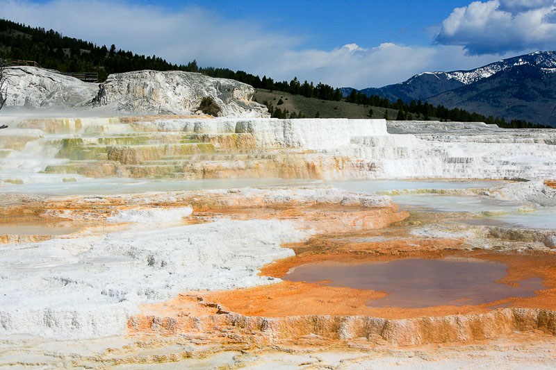 travertine terraces at Mammoth Hot Springs