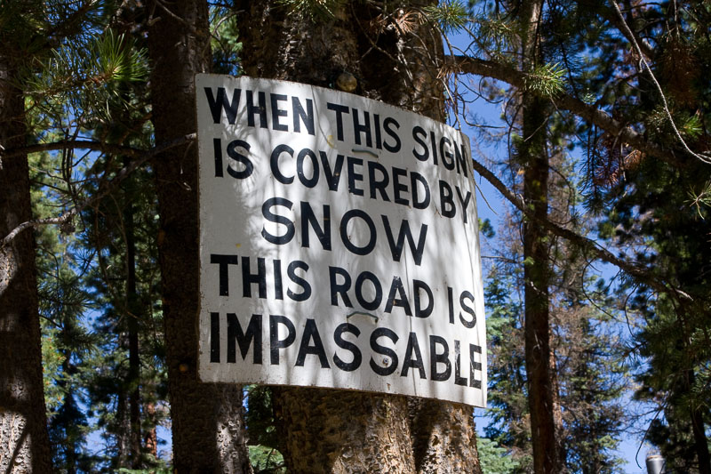 sign on the tree indicating snow levels